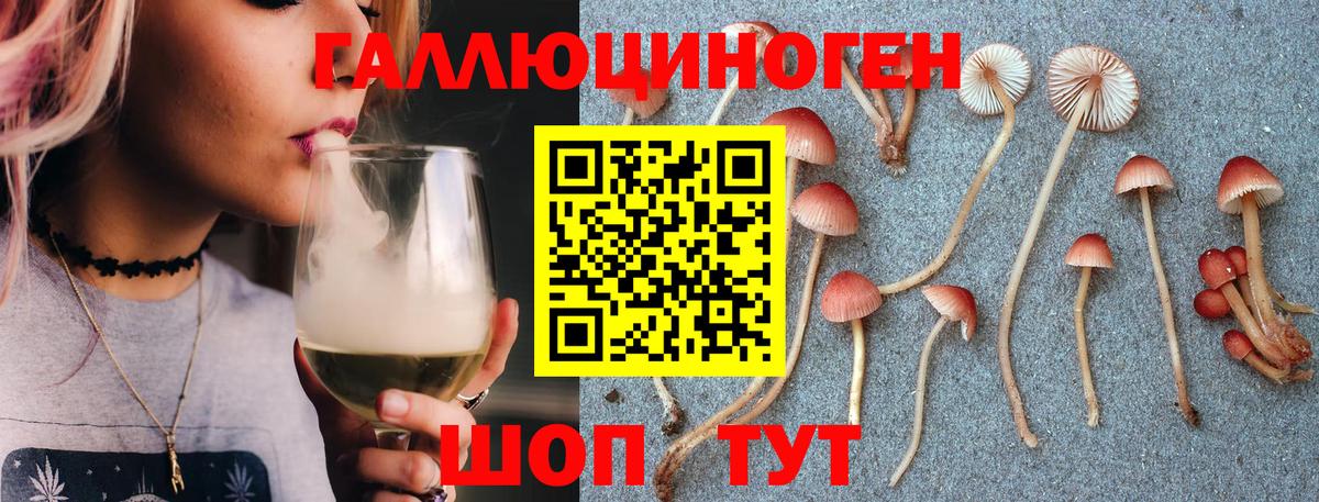 Галлюциногенные грибы ЛСД  Псилоцибиновые грибы Psilocybe  Вход с VPN  Верхняя Пышма 