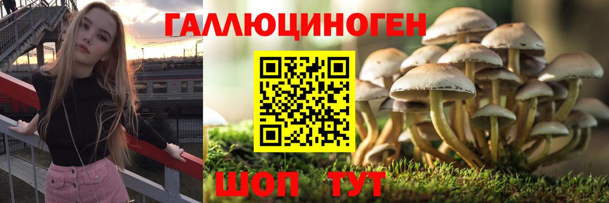 Галлюциногенные грибы MAGIC MUSHROOMS Верхняя Пышма