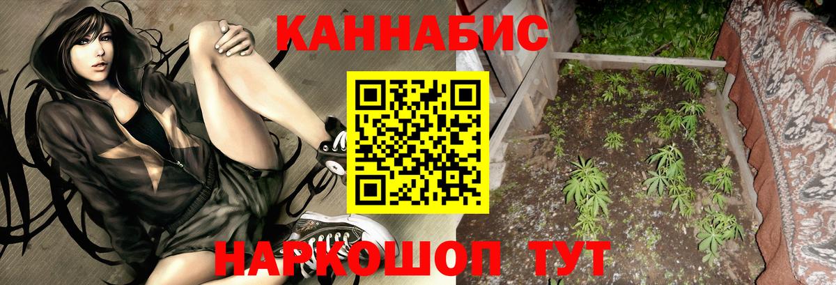 Бошки марихуана планчик  Марихуана ГИДРОПОН  Вход с VPN  Каннабис OG Kush  Верхняя Пышма  Бошки марихуана ГИДРОПОН 